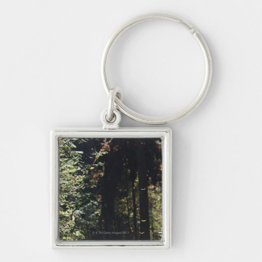 Bosvliegen in het bos sleutelhanger (Voorkant)