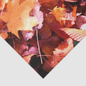 Bosvloerbedekking laat weefselpapier tissuepapier (Detail)