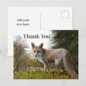 Bosvos Rode Vos Bedankkaartje Briefkaart (Voorkant / Achterkant)