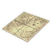  bosvossen Fox Tan beige bruine vogeldruiven Tegeltje (Zijkant)