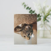 Boswachter de Kat Briefkaart (Staand voorkant)