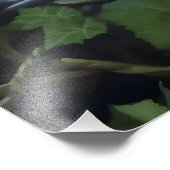 boswachter foto afdruk (Hoek)