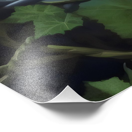 boswachter foto afdruk (Hoek)