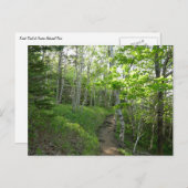 Boswandeling in Acadia National Park Briefkaart (Voorkant / Achterkant)
