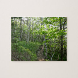 Boswandeling in Acadia National Park Legpuzzel