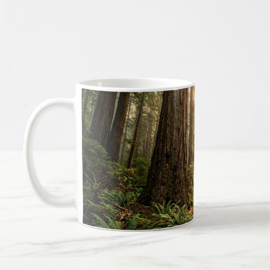 Boswandeling Koffiemok (Links)