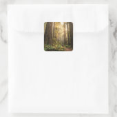 Boswandeling Vierkante Sticker (Tas)