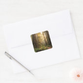 Boswandeling Vierkante Sticker (Envelop)