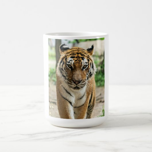 Boswandeltijger Koffiemok (Center)