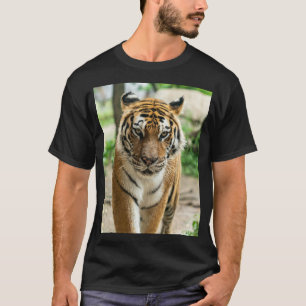 Boswandeltijger T-shirt