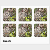 Boswaszwing – Zachte zitplaats Vierkante Sticker (Vel)