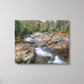Boswaterval Canvas Afdruk (Voorkant)