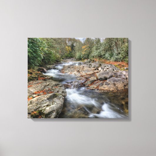 Boswaterval Canvas Afdruk (Voorkant)