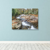 Boswaterval Canvas Afdruk (Insitu (Houten vloer))