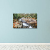 Boswaterval Canvas Afdruk (Insitu (Houten vloer))