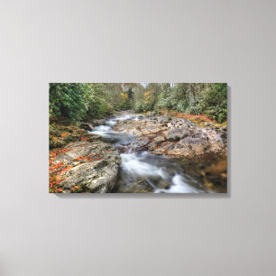 Boswaterval Canvas Afdruk