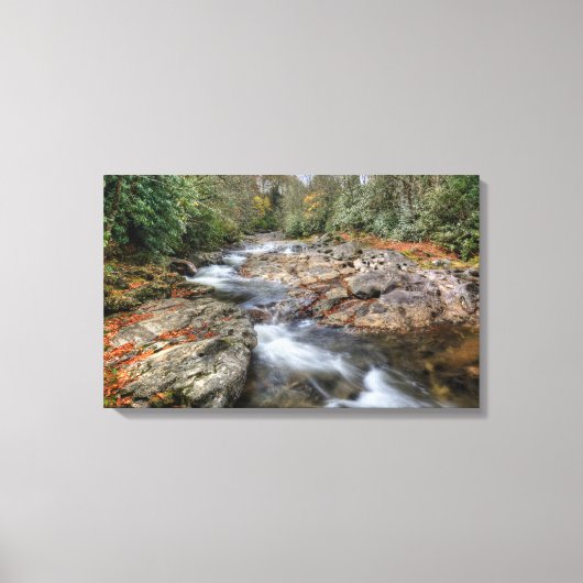 Boswaterval Canvas Afdruk (Voorkant)