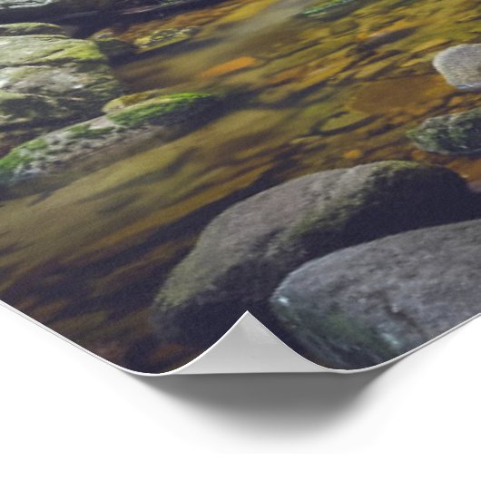 Boswaterval Poster (Hoek)