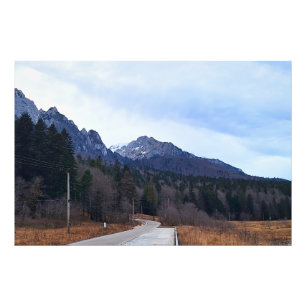 Bosweg Schitterend Landschap Wilde Natuur Roemenië Foto Afdruk