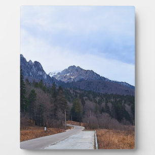 Bosweg Schitterend Landschap Wilde Natuur Roemenië Fotoplaat