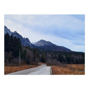 Bosweg Schitterend Landschap Wilde Natuur Roemenië Perfect Poster