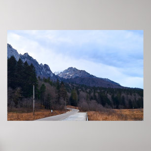 Bosweg Schitterend Landschap Wilde Natuur Roemenië Poster