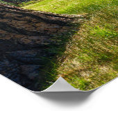 Boswei Muur Kunst | Grove Boslandschap Poster (Hoek)