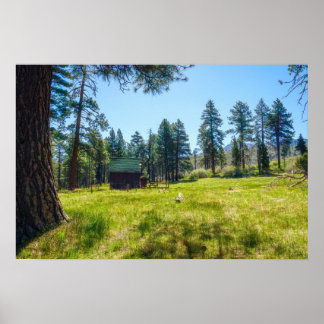 Boswei Muur Kunst | Grove Boslandschap Poster