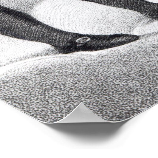 Boswell en de Ghost van Samuel Johnson Poster (Hoek)