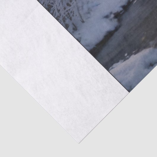 Boswolf Tissuepapier (Detail)