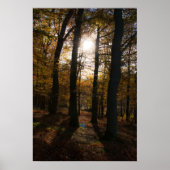 Boszon Poster (Voorkant)