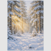 Boszonlicht • Premium Tissuepapier (53 × 74 cm) (Voorkant)