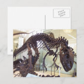 Bot Briefkaart (Voorkant / Achterkant)