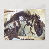 Bot Briefkaart (Voorkant)