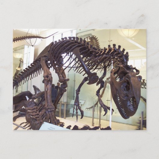 Bot Briefkaart (Voorkant)