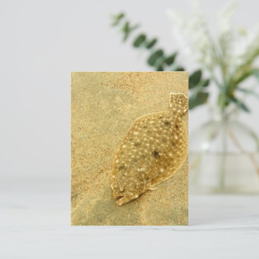 bot briefkaart (Staand voorkant)