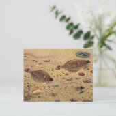 bot- en zeeboten briefkaart (Staand voorkant)