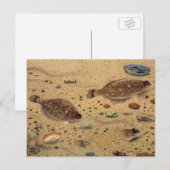 bot- en zeeboten briefkaart (Voorkant / Achterkant)