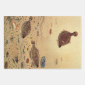  bot- en zeeboten inpakpapier vel (Voorkant 2)