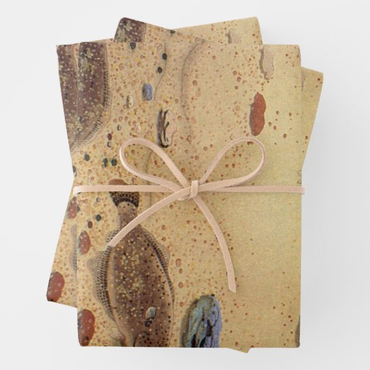 bot- en zeeboten inpakpapier vel (In situ)