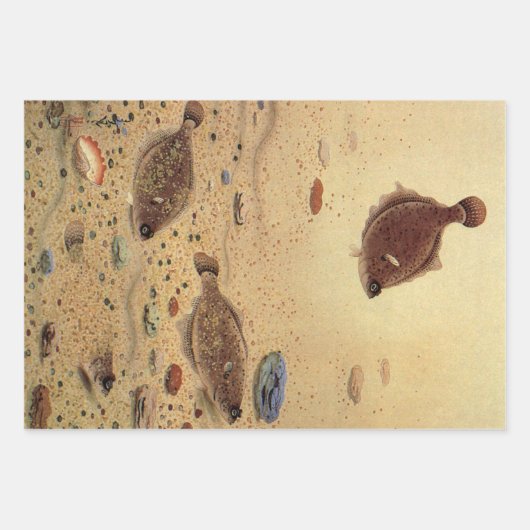 bot- en zeeboten inpakpapier vel (Voorkant)