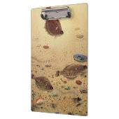 bot- en zeeboten klembord (Links)