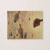 bot- en zeeboten legpuzzel (Horizontaal)