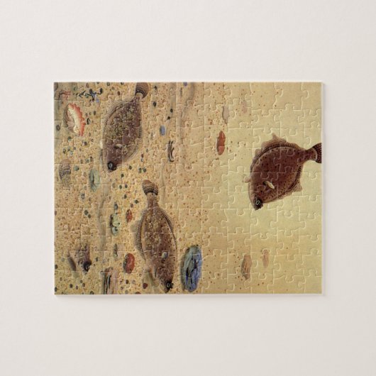  bot- en zeeboten legpuzzel (Horizontaal)