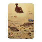  bot- en zeeboten magneet (Verticaal)