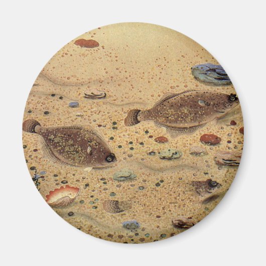 bot- en zeeboten magneet (Voorkant)