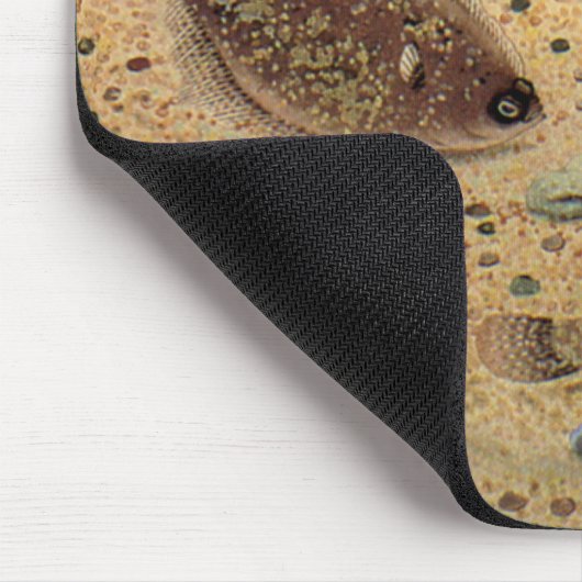  bot- en zeeboten muismat (Hoek)