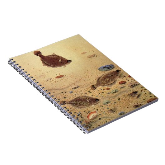  bot- en zeeboten notitieboek (Rechterzijde)