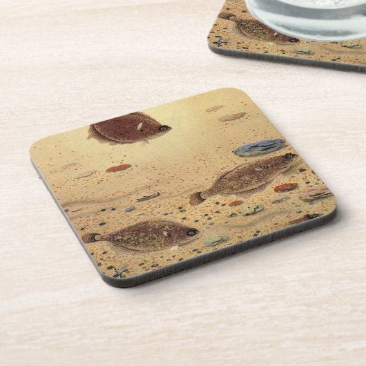  bot- en zeeboten onderzetter (Linkerzijde)