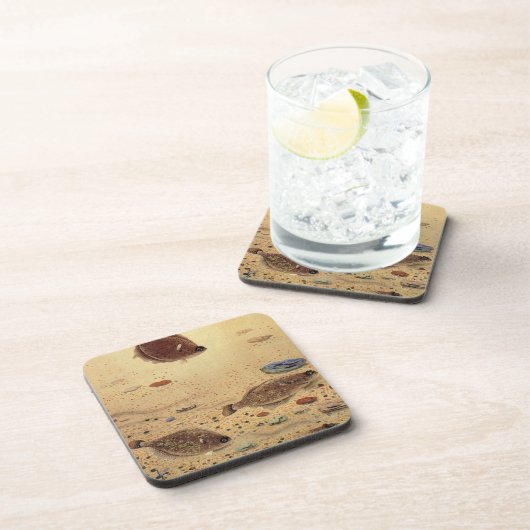  bot- en zeeboten onderzetter (Rechterzijde)